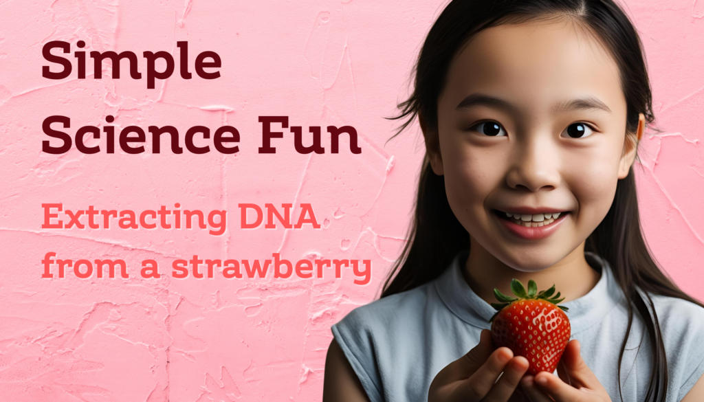 Home science experiments for kids, extracting DNA from a strawberry