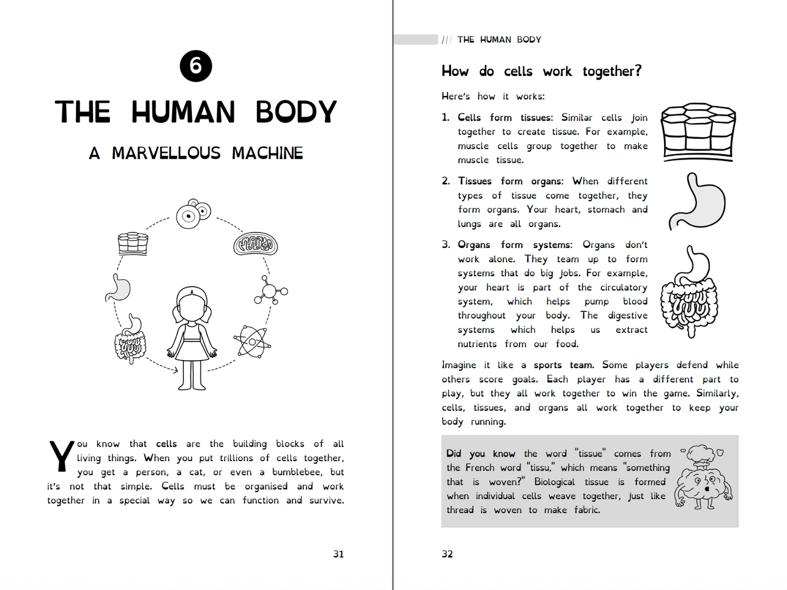 Biology pages explaining body systems and cells