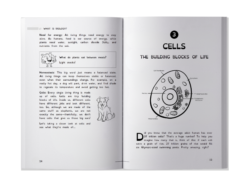 Visual diagrams and illustrations in biology book