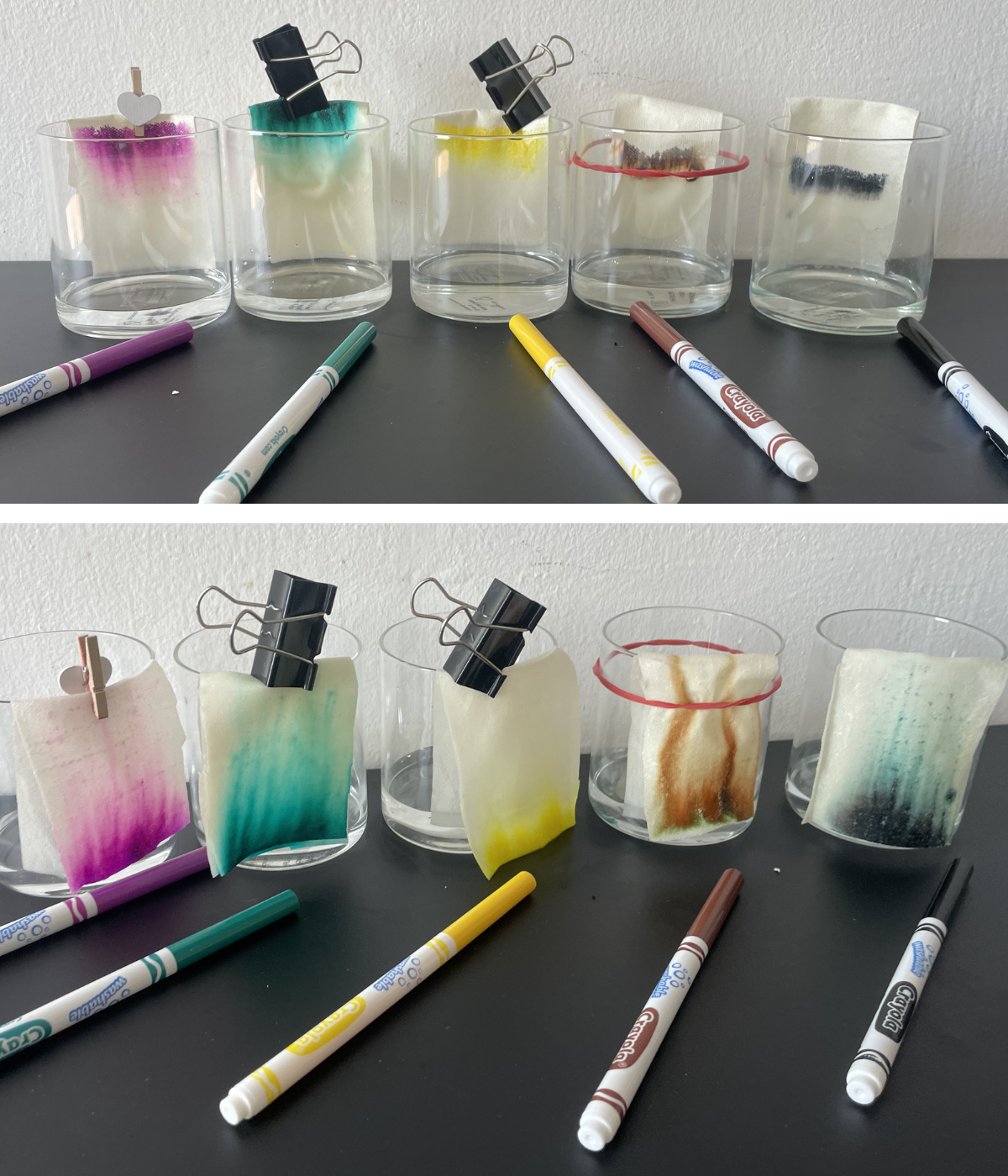 Girl with chromatography experiment results — colour separation in washable markers for kids